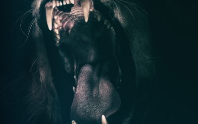 #17 | Uno strumento pratico per avere più energia durante la giornata