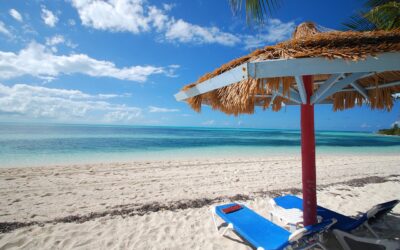 #33 | Agosto, il mese ideale per rigenerarsi e fare i primi bilanci dell’anno